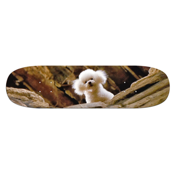 Precious of the Lambs skate deck