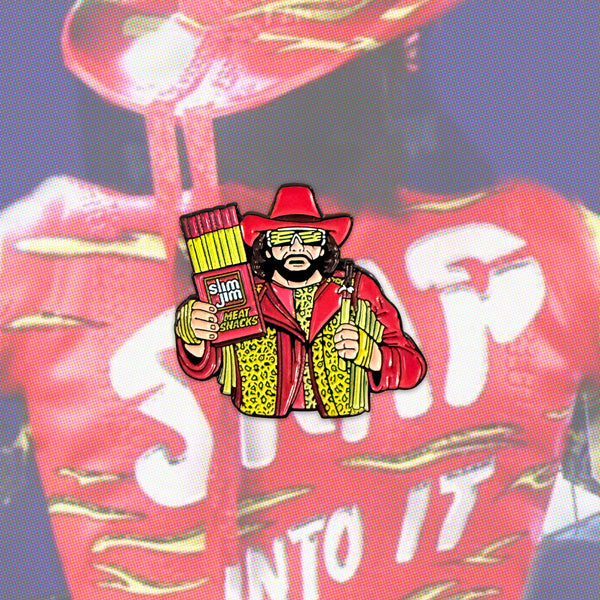 SNAP INTO IT! pin
